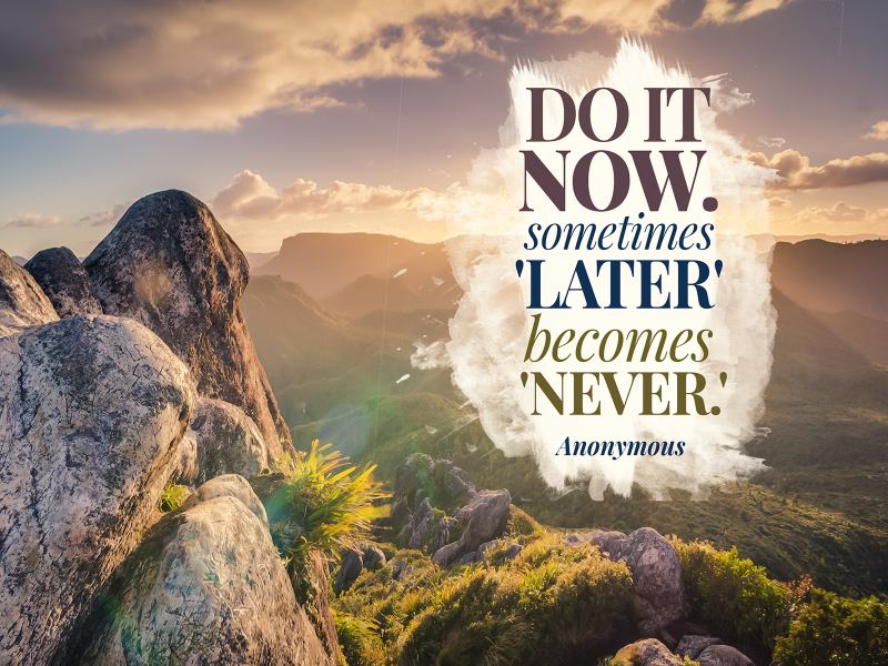 Do it now. Sometimes Later becomes Never - Anonymous 🏖️