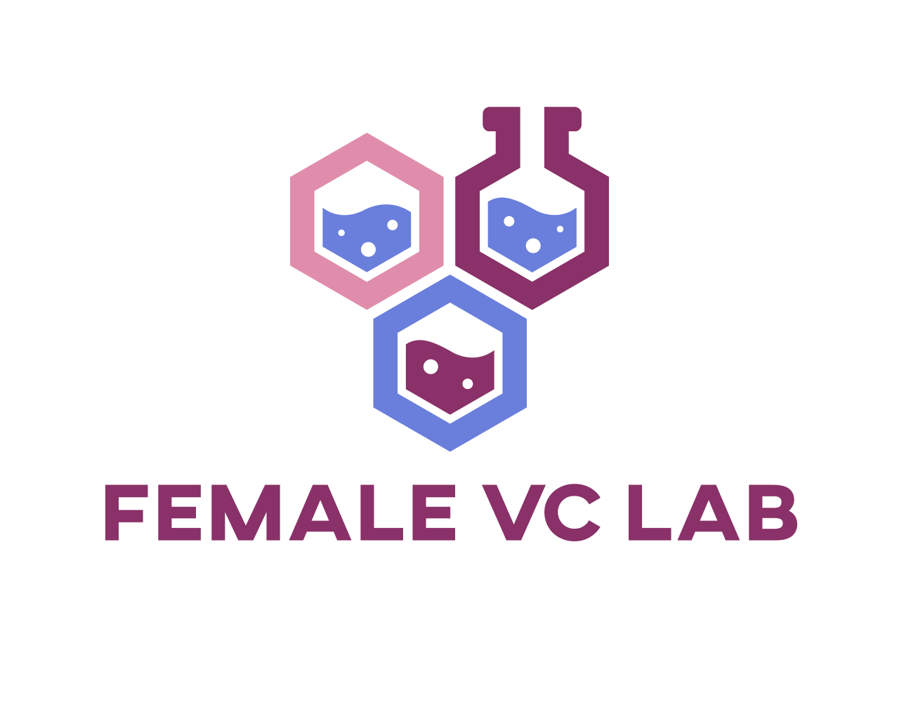 The Female VC Lab Podcast's 2023 Journey & Future Preview
