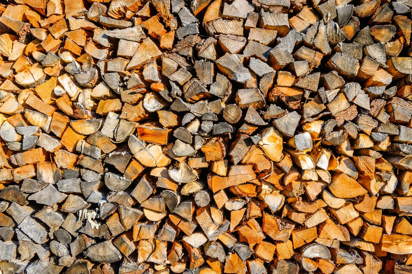 Why Use Biomass for Our Energy Needs